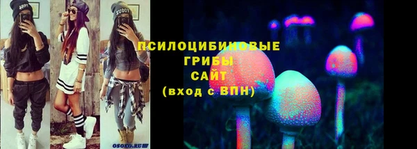 крисы Аркадак