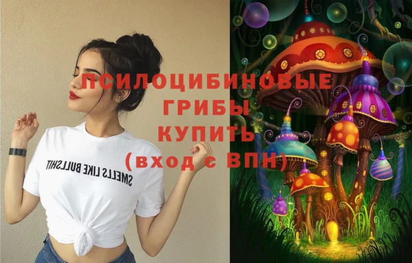 крисы Аркадак
